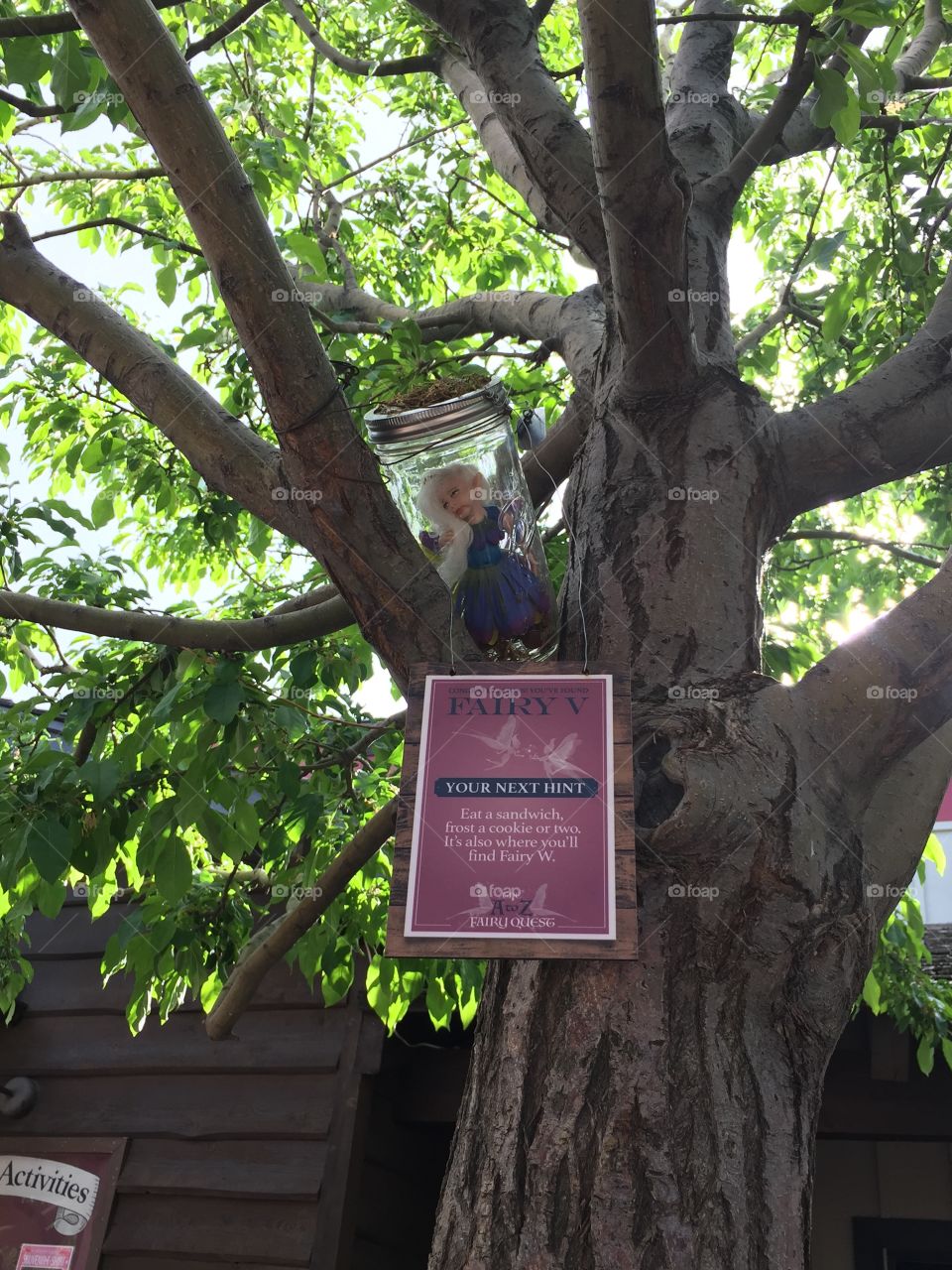 Fairy Quest. Fairy Homes & Gardens. Pixie Treehouses. Pixie Hollow. Fairy Treehouses. Gardner Village, in West Jordan, Utah. @chelseamerkleyphotos - Copyright © CM Photography. May 2019. 