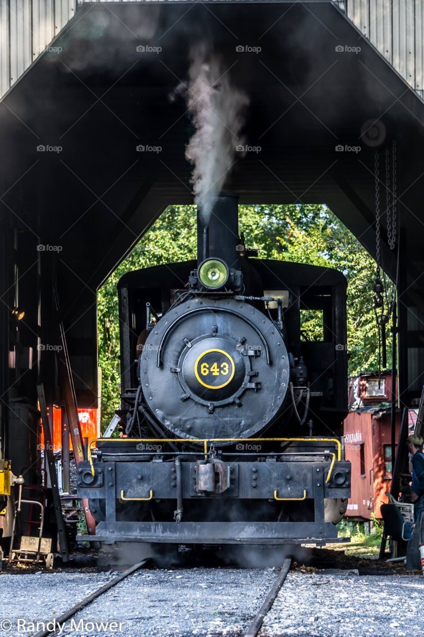 Train, Railway, Engine, Railroad Track, Locomotive