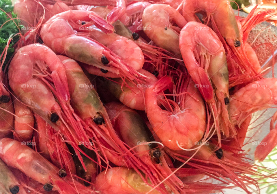 Shrimps. 