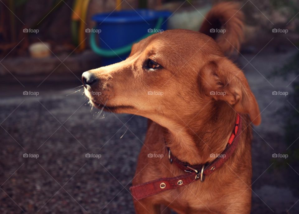 My neighbor // Nikon 3500