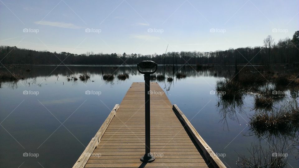 Panoramic wetlands