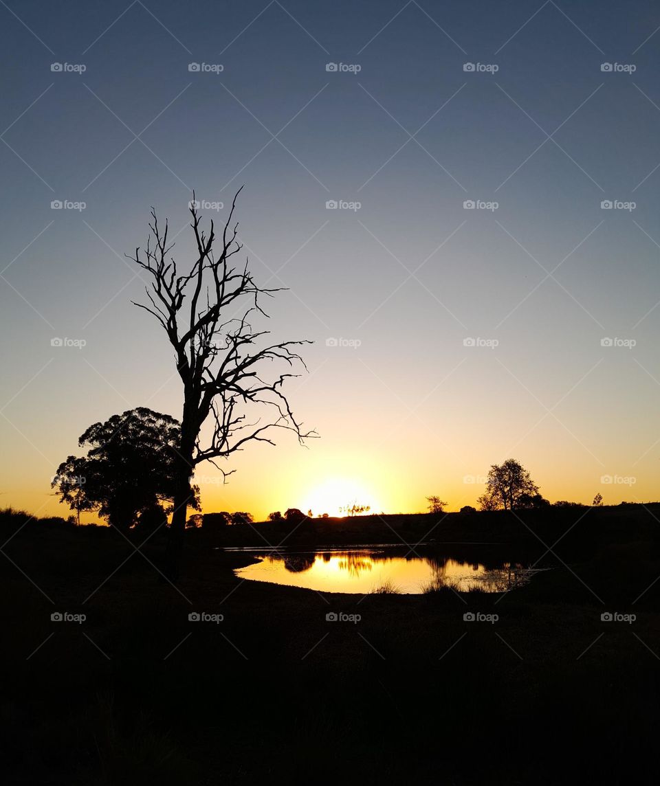 Sunset over Dam with trees Silhouetted