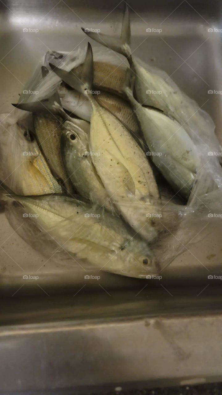 bag of fish
