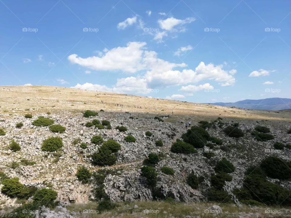 rocky island of krk