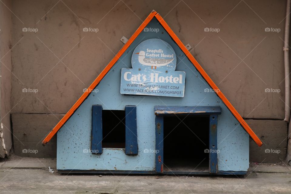 Hotel view . Cat hotel in a backstreet 
