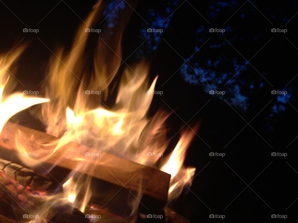 Bonfire