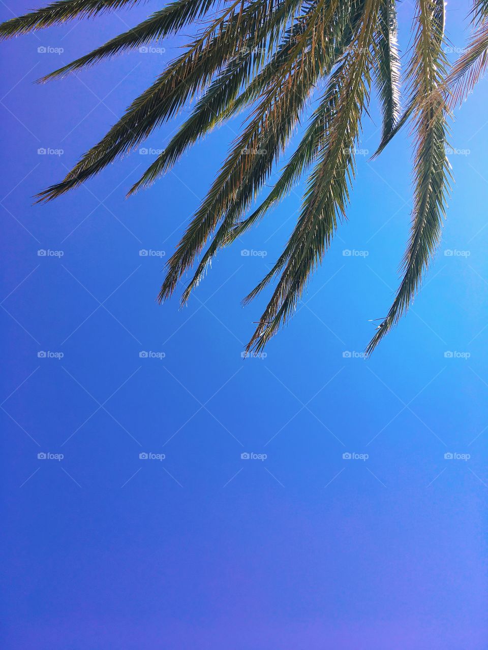 Sunny sky in Ibiza Spain 