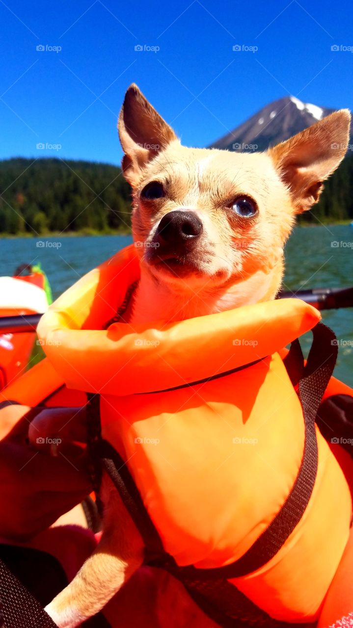 A day kayaking