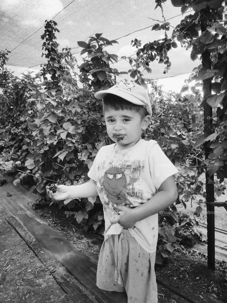 kid. The boy is eating blackberry