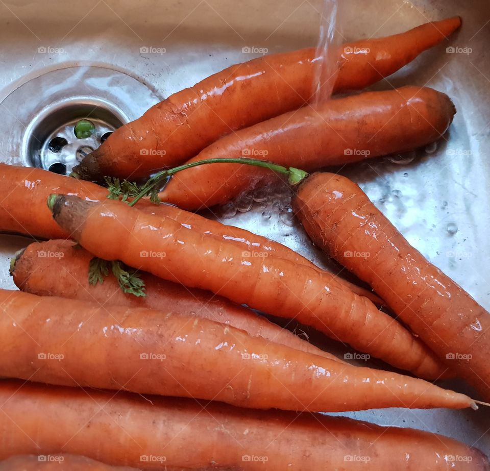 Fresh carrots in the sink