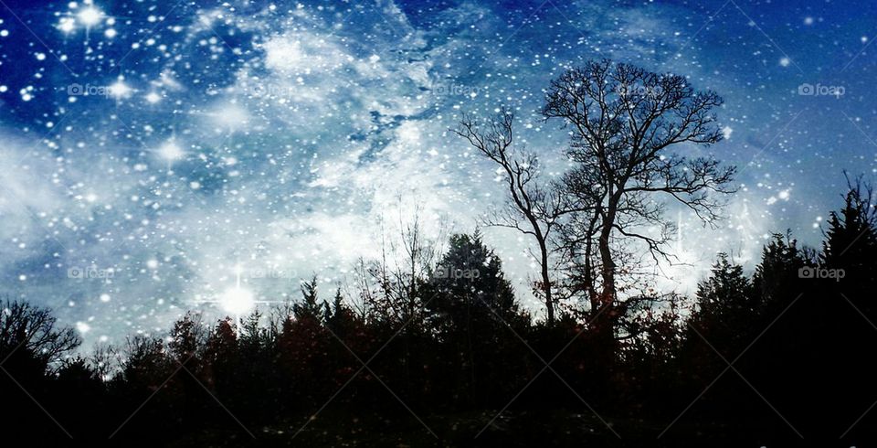 Silhouette Night Sky