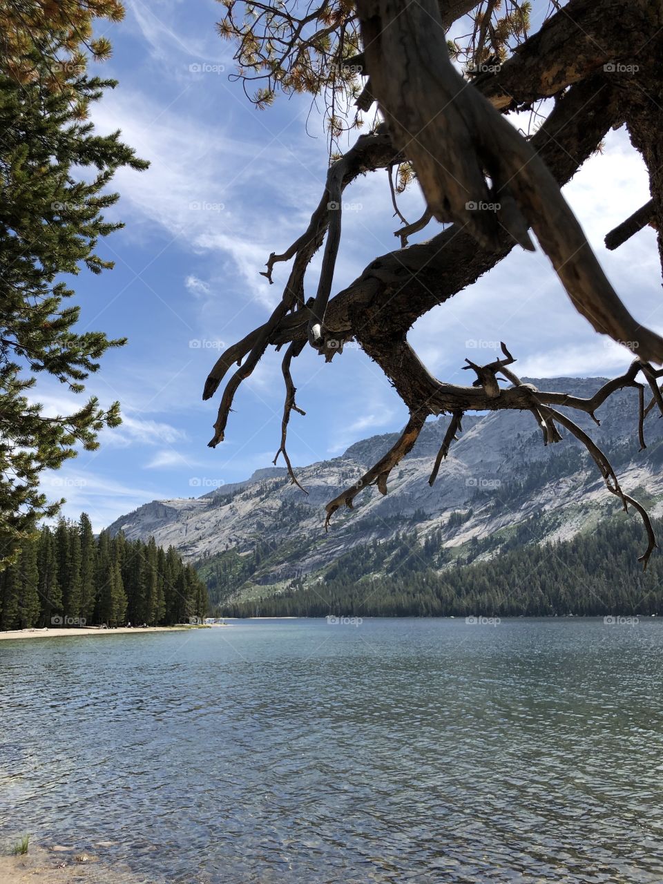 A Lake in Yosemite