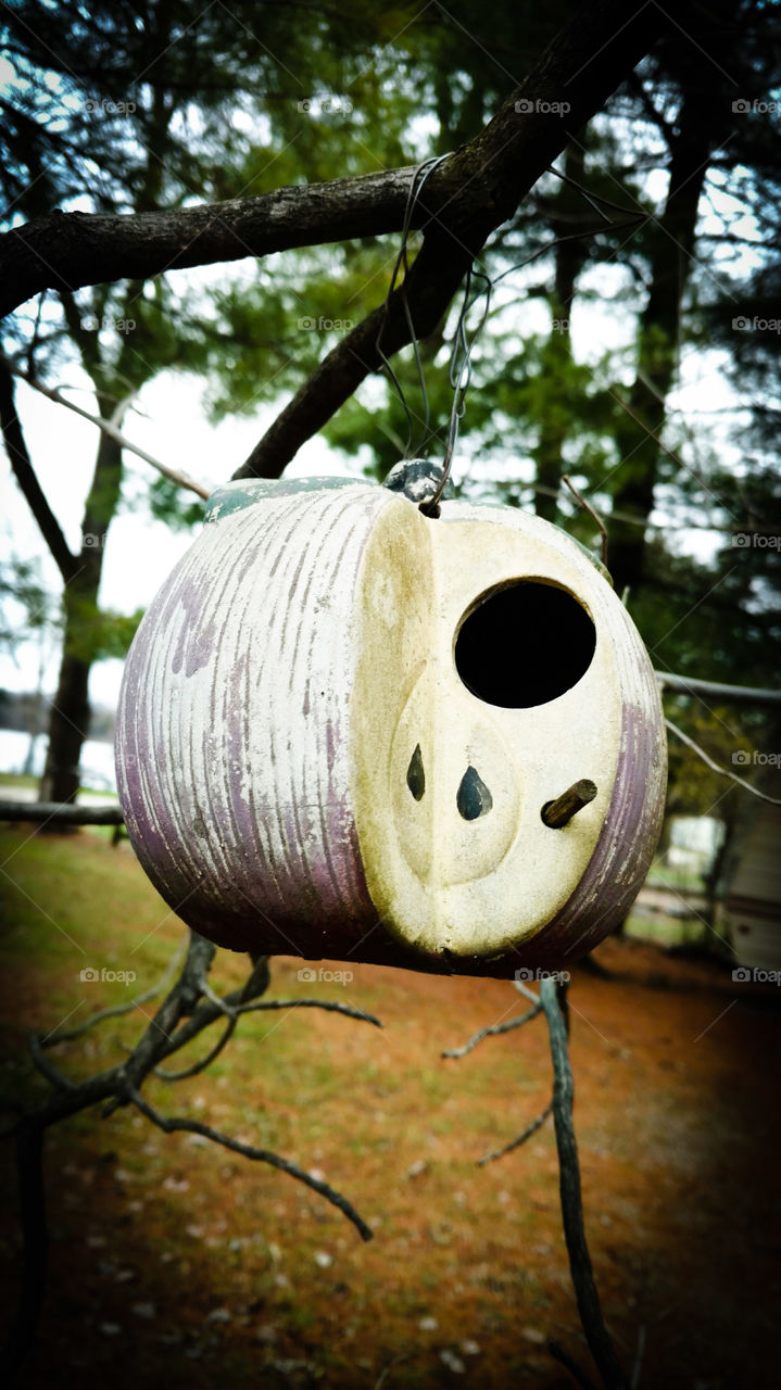birdhouse