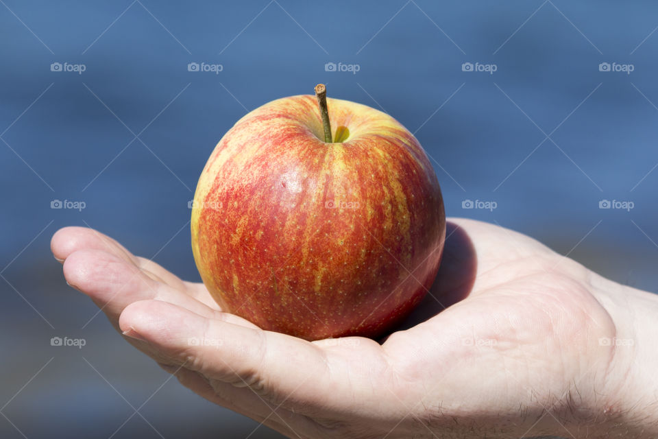 Human's hand holding a apple
