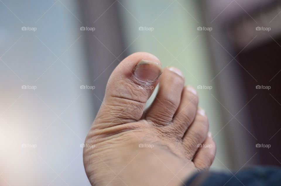 foot