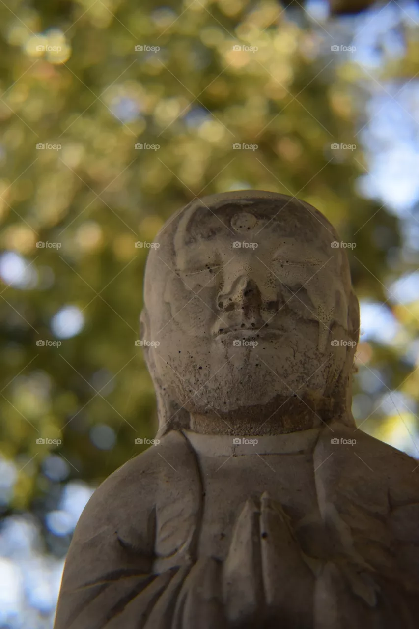 buddha