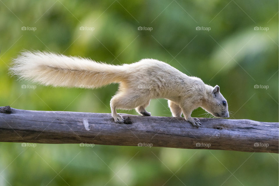 Exploring on the log