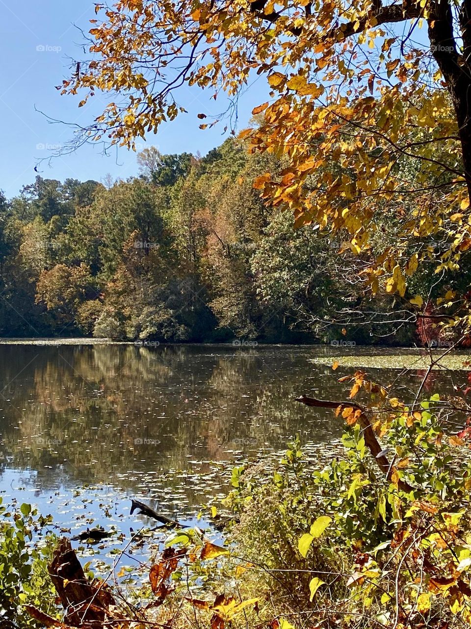 Autumn day on the lake 