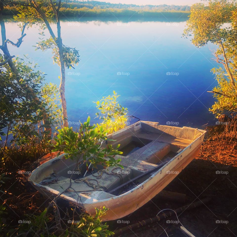 On the lake morning reflections 