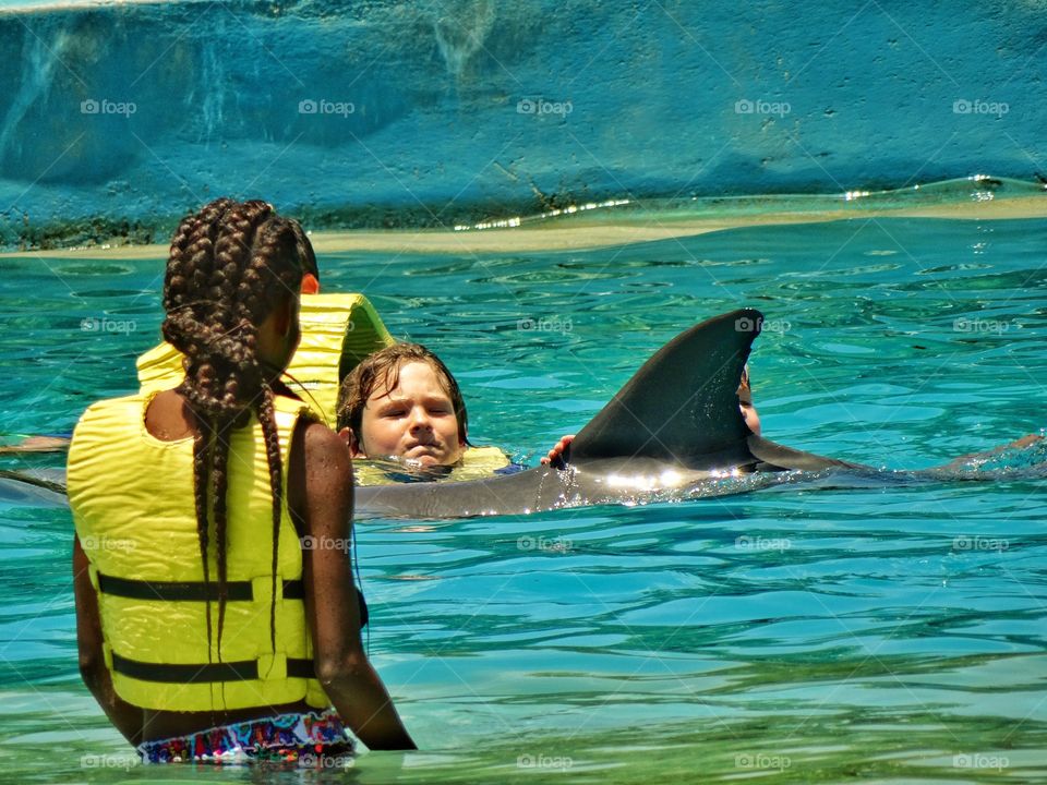 Swimming With Dolphins