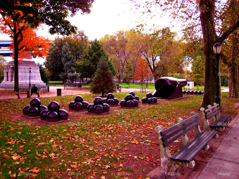 Bench, Fall, Tree, Park, Garden