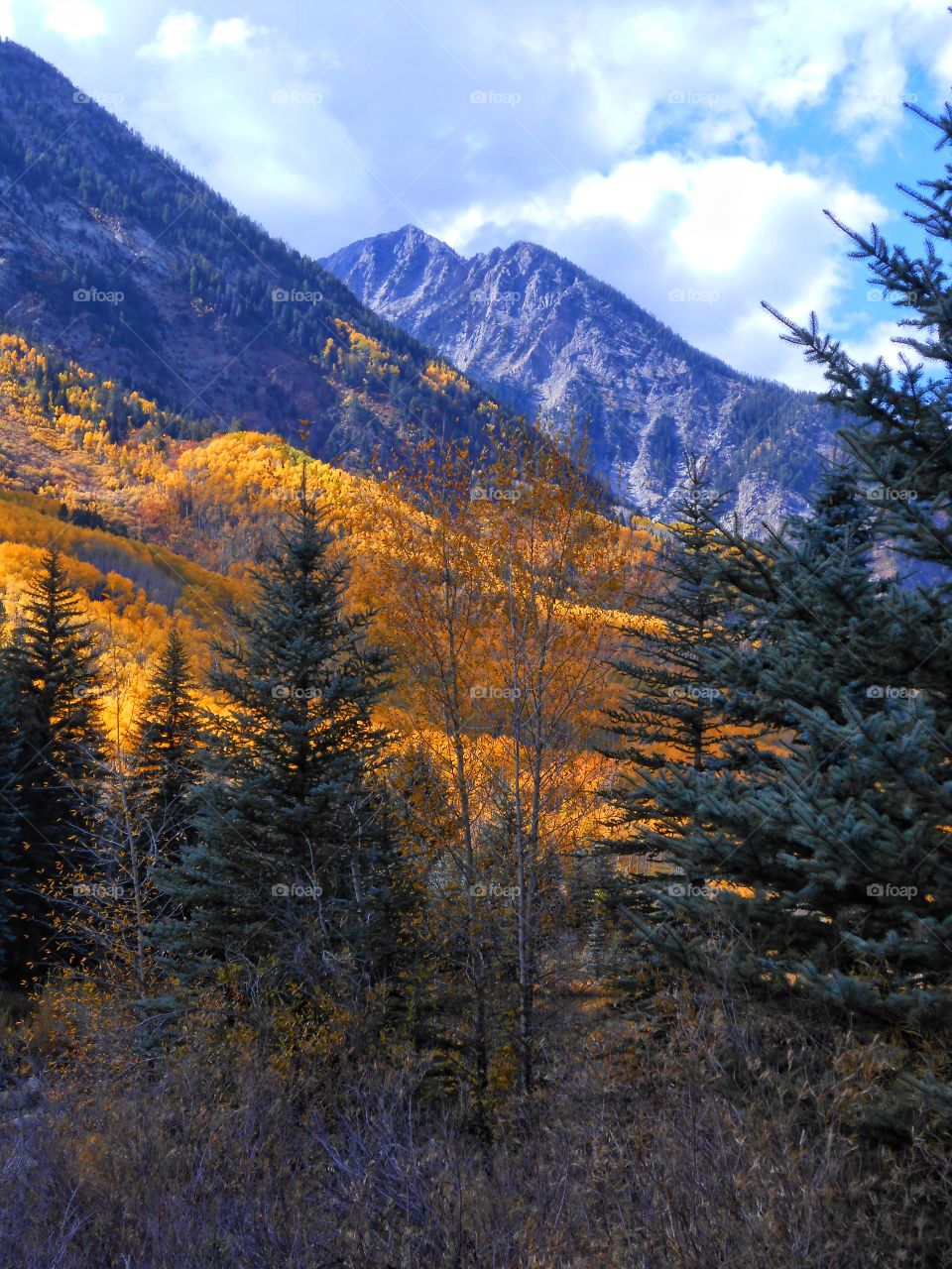 Majestic. mountains of Colorado clothed in Autumn splendor.