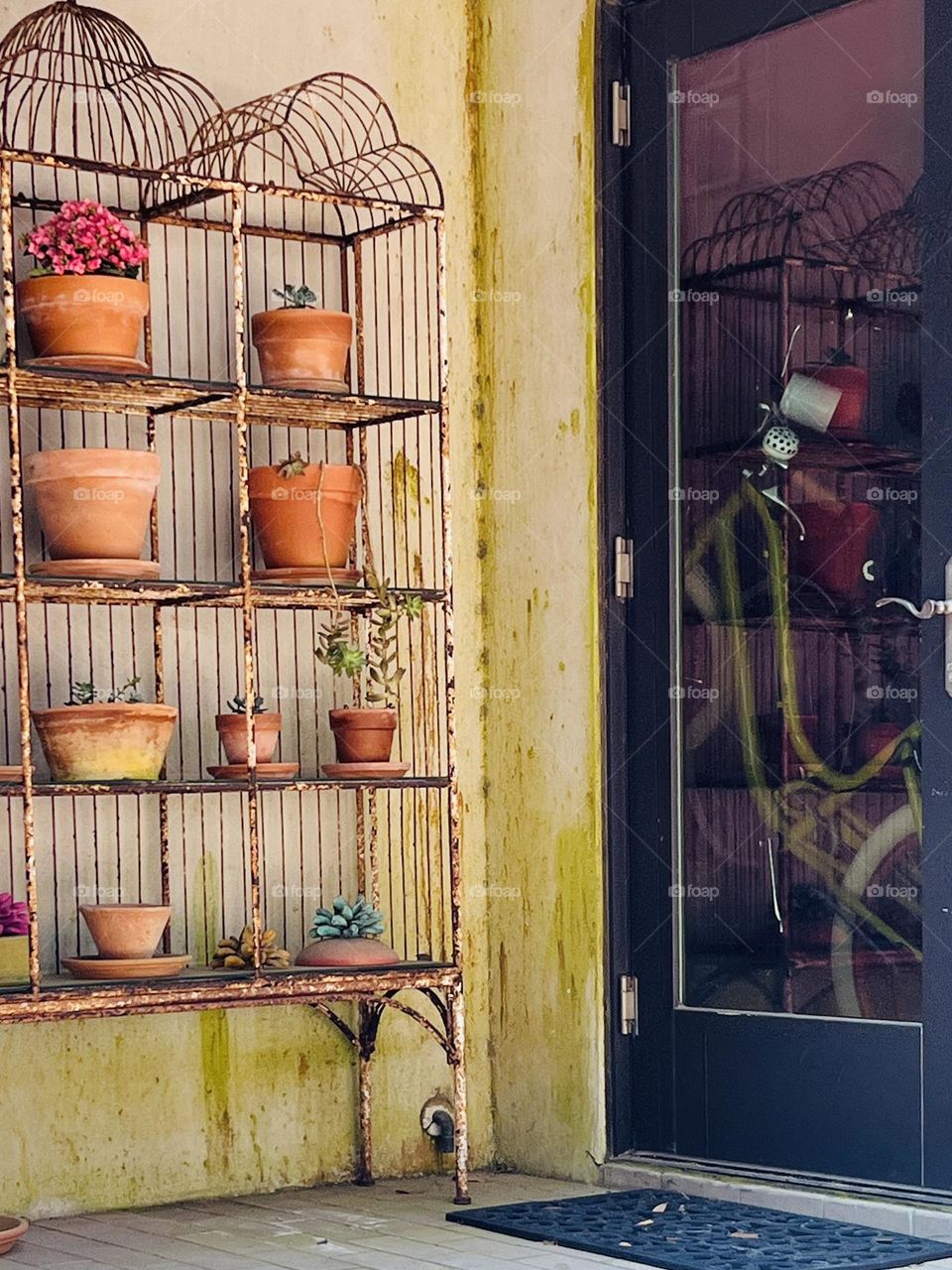 View from outside of a dingle bicycle propped up and stored just inside a front door. A rack of potted plants outside reflects across the image on the glass door.
