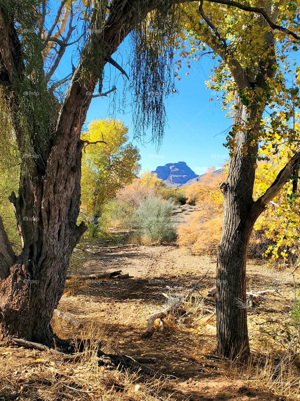 Hiking in an Arizona Autumn