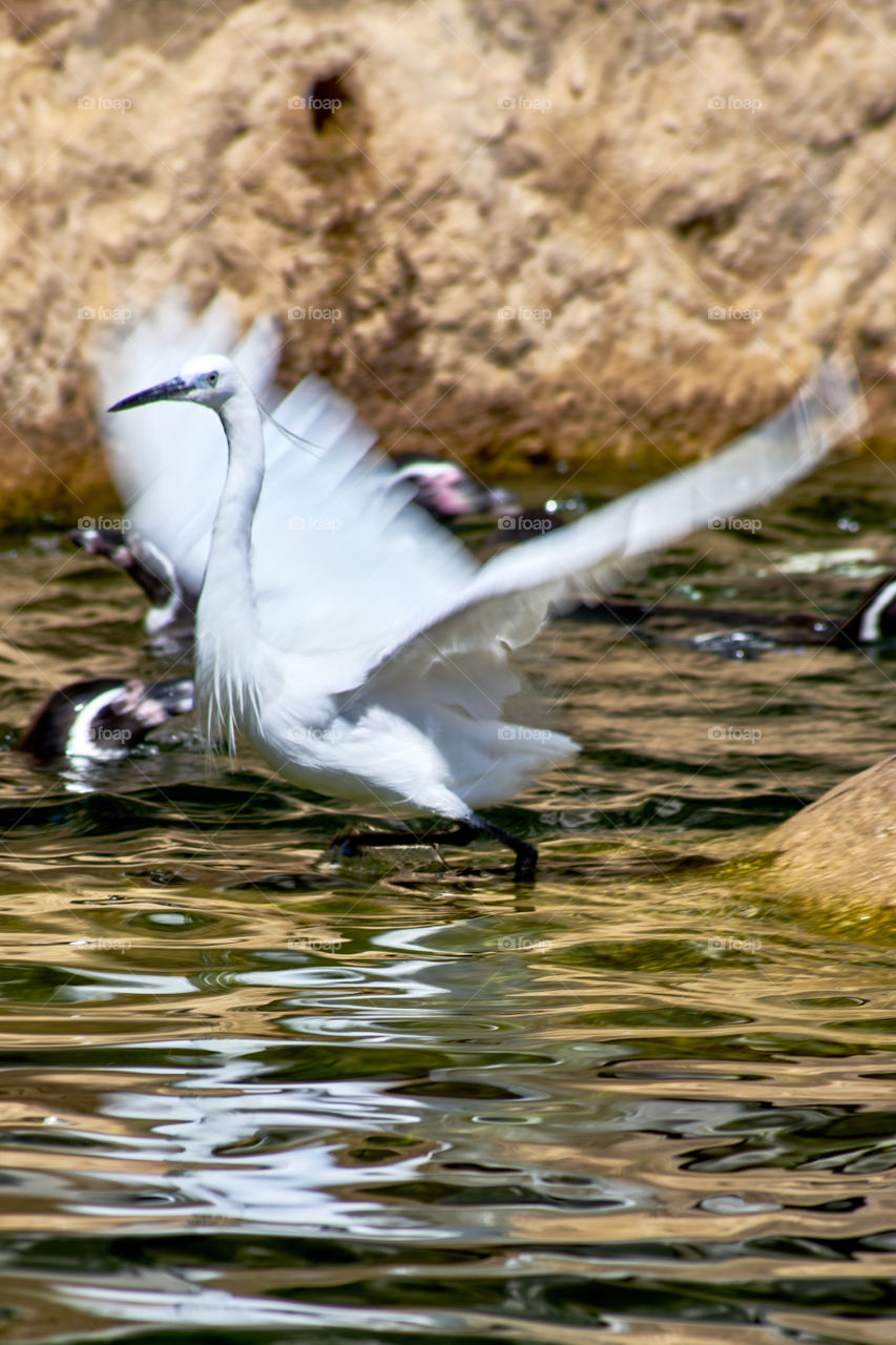 Zoo de Barcelona. Barcelona