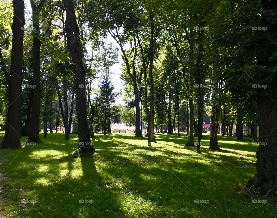 Central Park in Vinnytsya