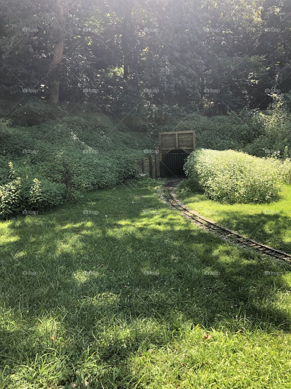 Hidden Tunnel Entrance  