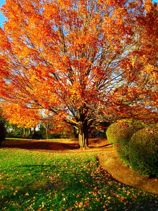 fall