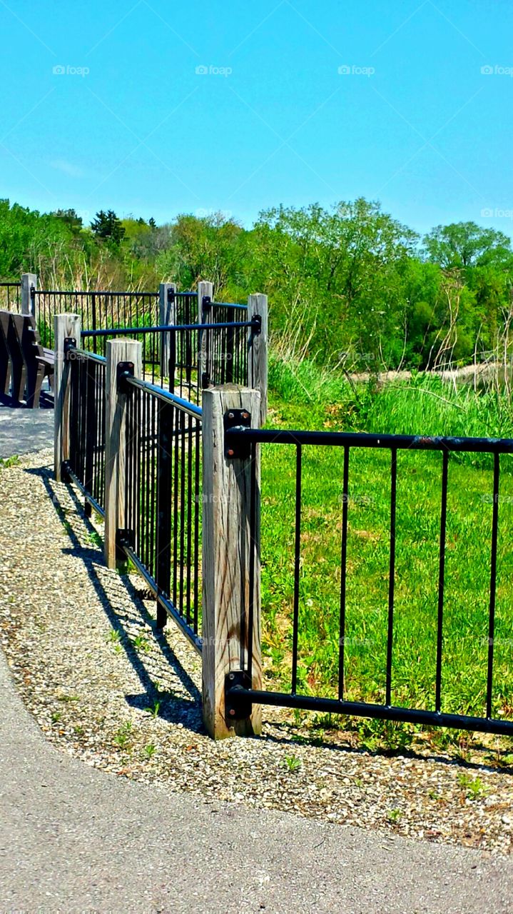 Nature . Fence 