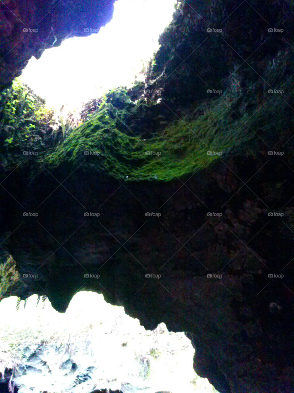 natural skylight 2. looking up underground cave