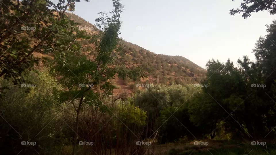 green and mountain
