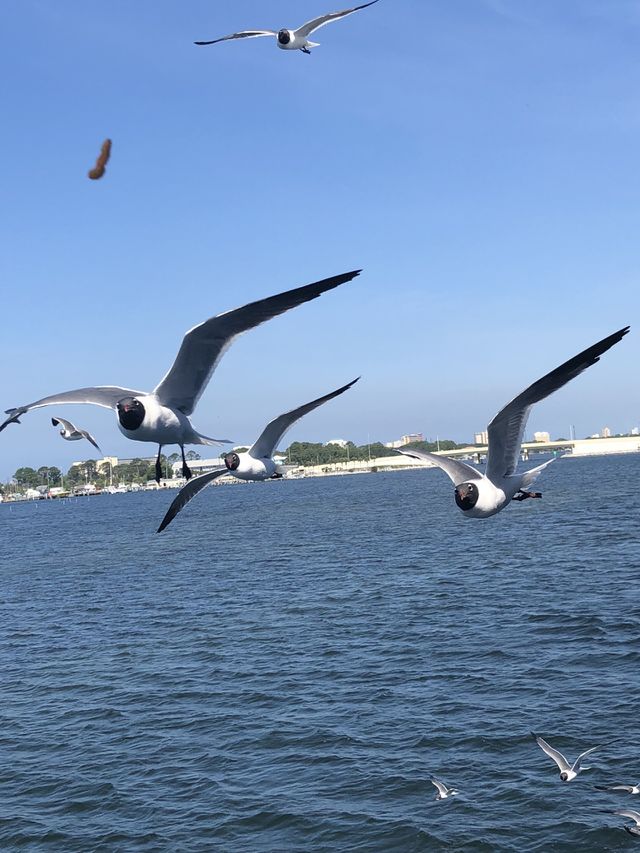 Emerald Coast