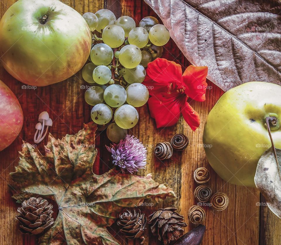 Selection of autumnal fruits with leaves & cones