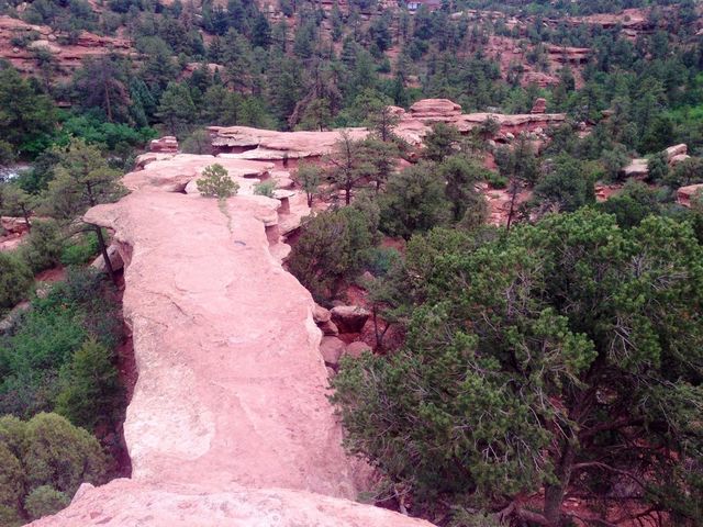 Garden of the Gods