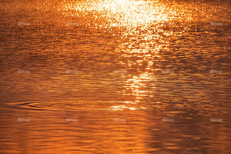 Sun light reflect on the river