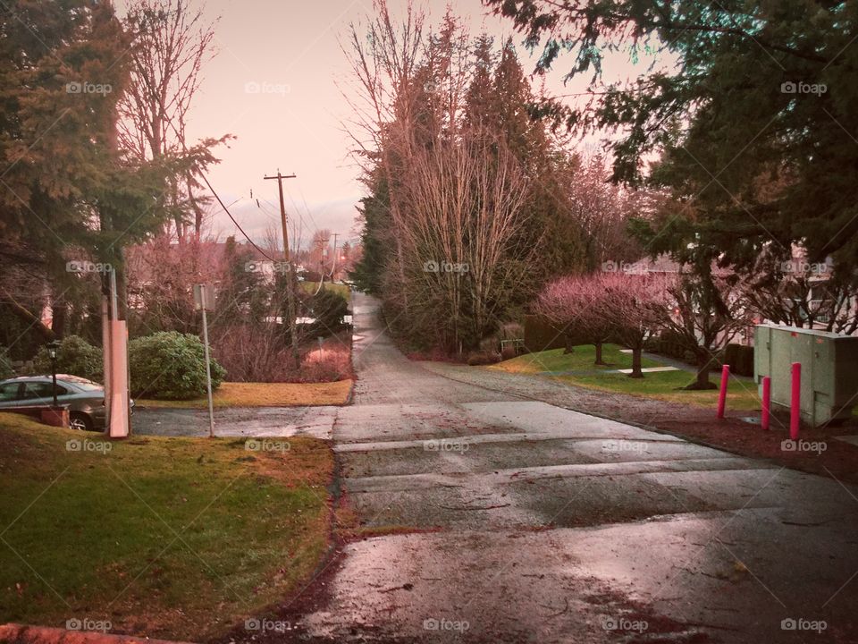 Spring in the old neighborhood 