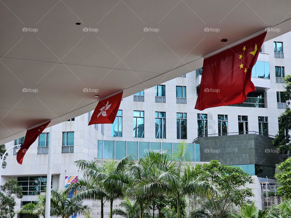 Establishment Day flags flying