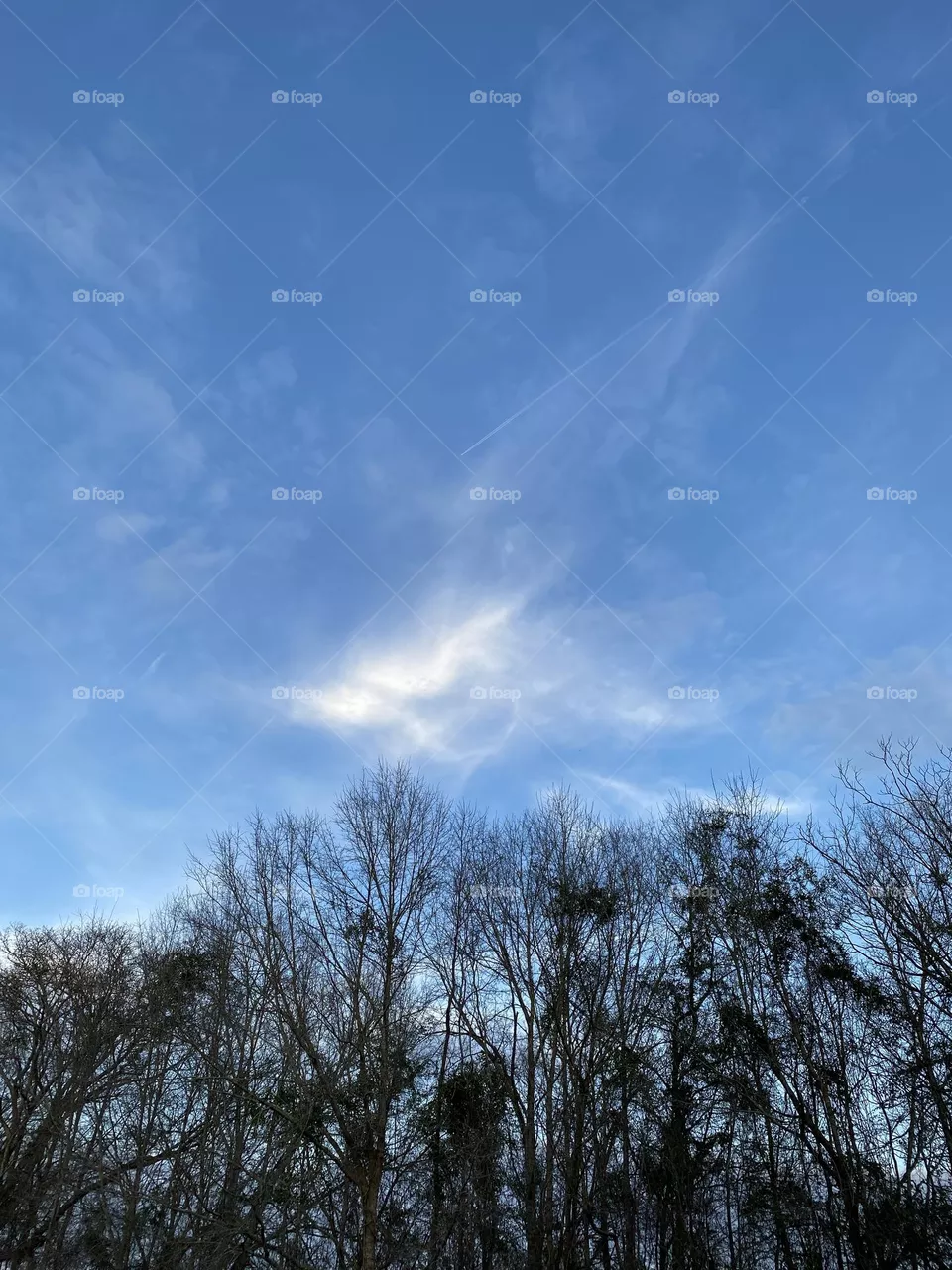 There is always beauty in the sky 