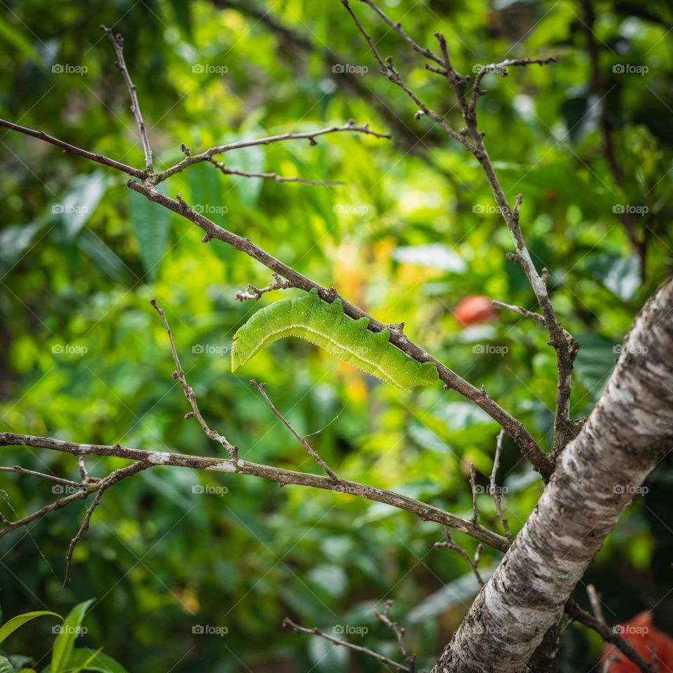 With spring season the nature is coming back to life.