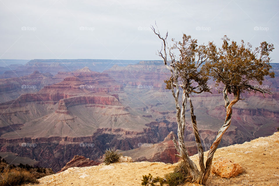 Scenic view of grand canyon