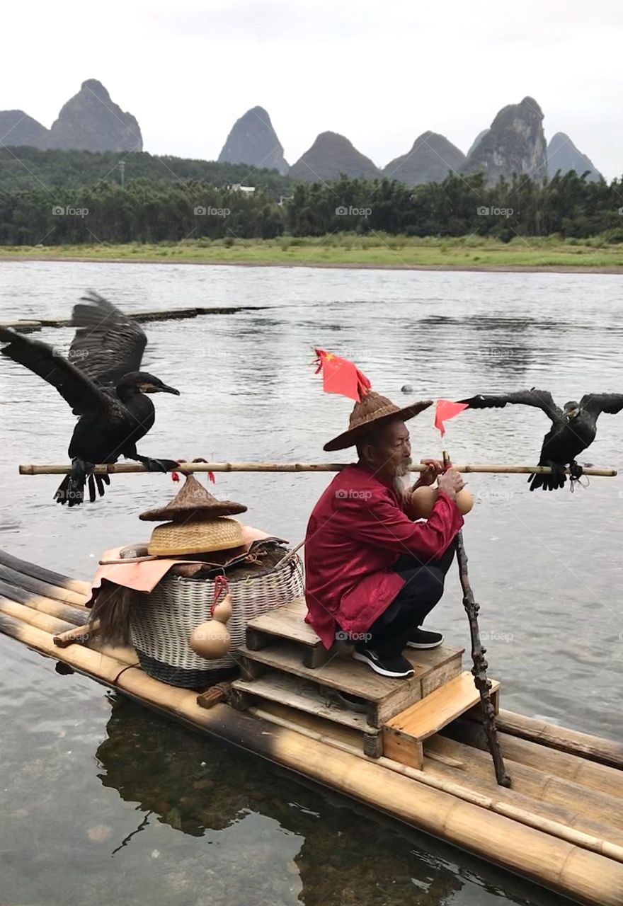Pesca con cormoranes 