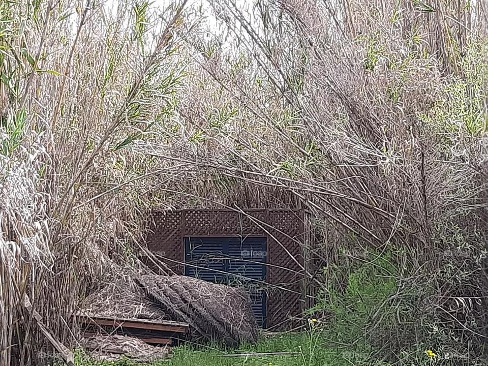 Old house