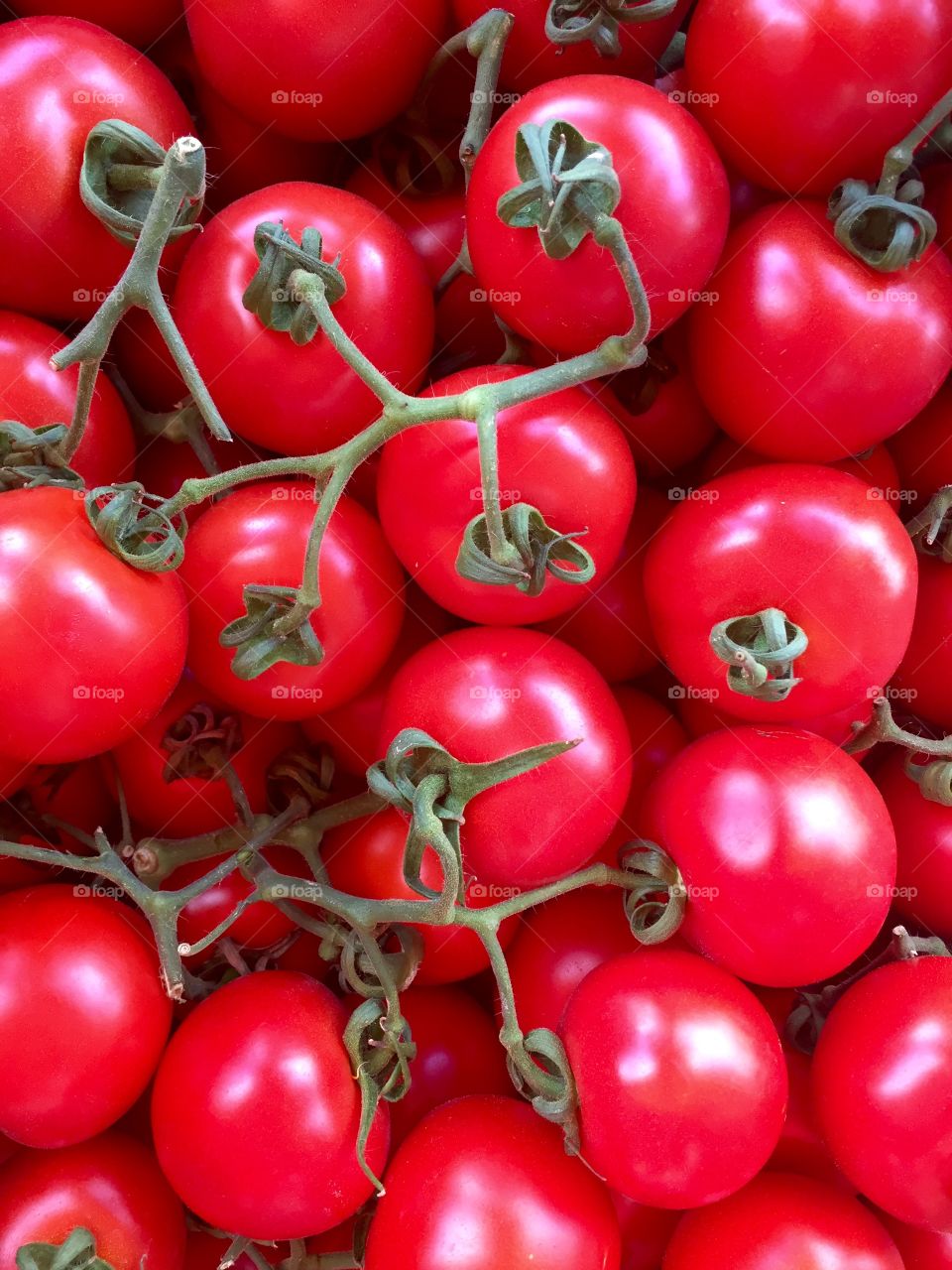 Fresh tomatoes 