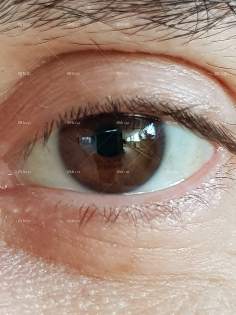 Brown eye