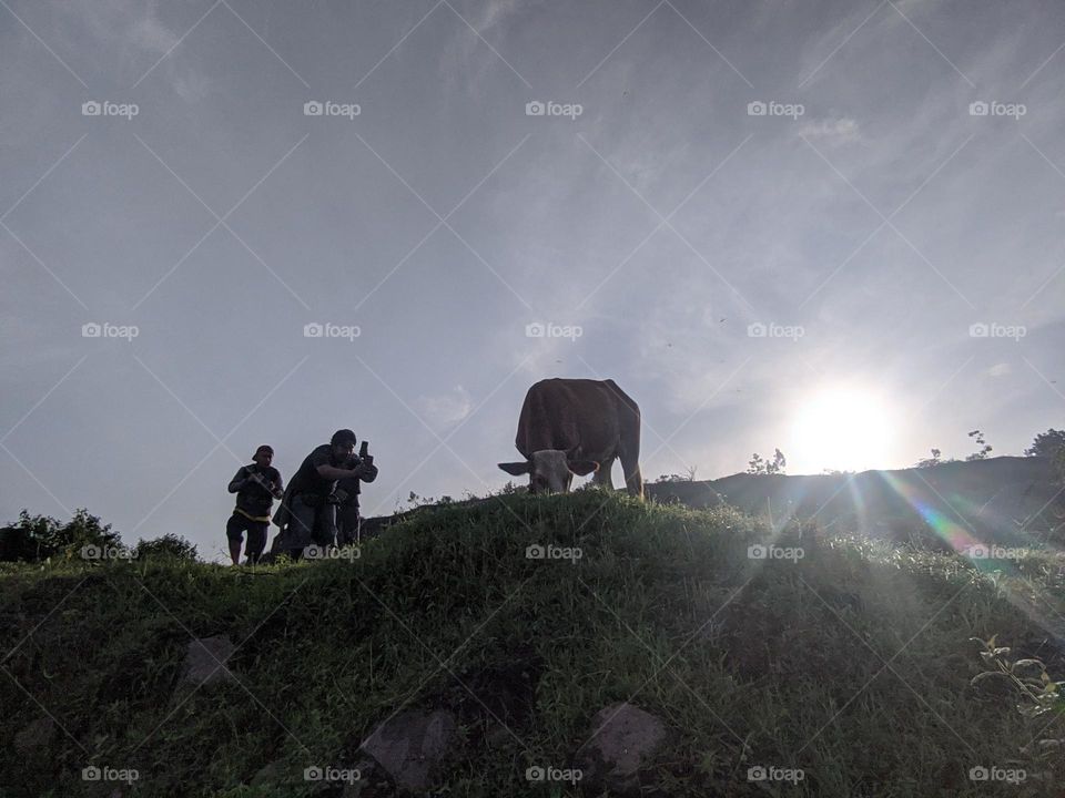 photographing the sunrise using a cell phone