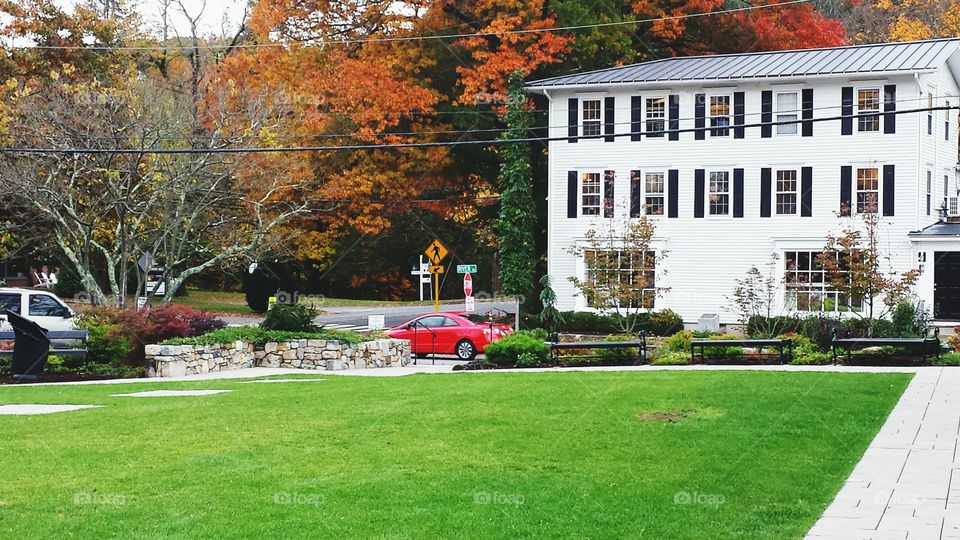 ARCHITECTURAL BEAUTY.